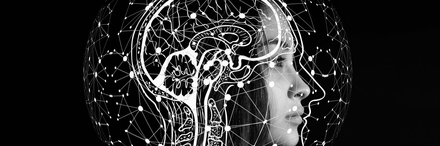 Does Learning English Grow Your Brain?